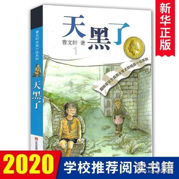 拯救受伤的猫